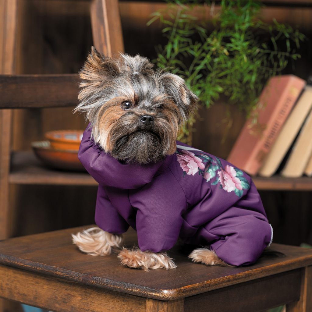 Костюм для тварин Pet Fashion LOLA ХS (4823082432417)