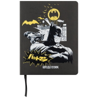School diary Kite DC Comics, paperback (DC25-283)