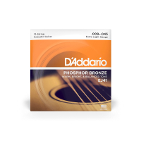 Guitar strings D'Addario Phosphor Bronze 12-String Extra Light (09-45) (EJ41)
