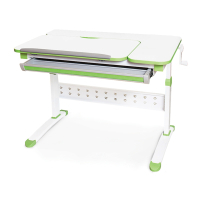 Desk Evo-kids Martin Green (Evo-430 WZ)