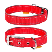 Collar for animals Collar Dog Extreme 25 mm 38-48 cm (red) (67043)