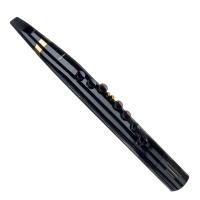 Recorder Mooer Wi100 Black