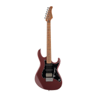 Електрогітара Cort G250 SE Vivid Burgundy