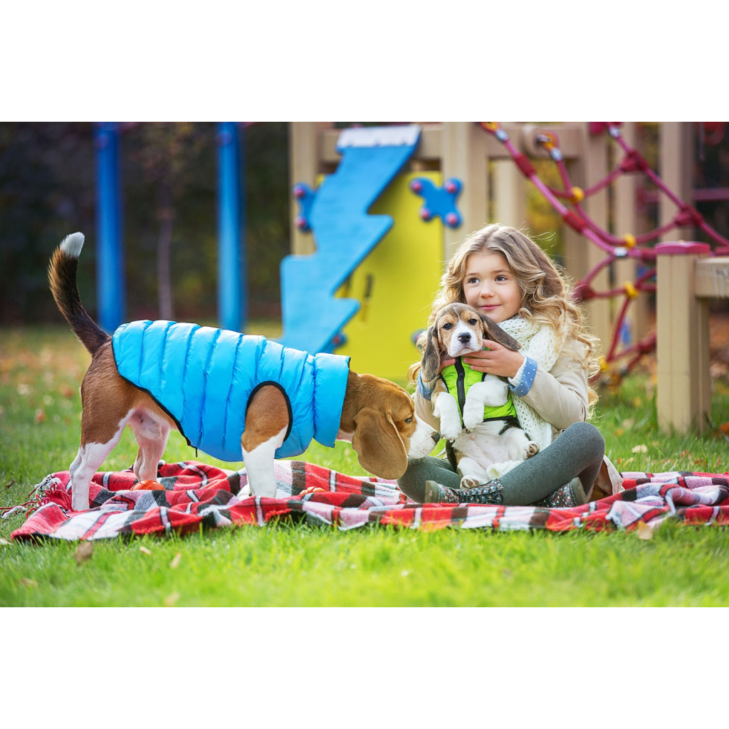 Курточка для тварин Collar AiryVest "Colors of freedom" L 55 (4449-4020)