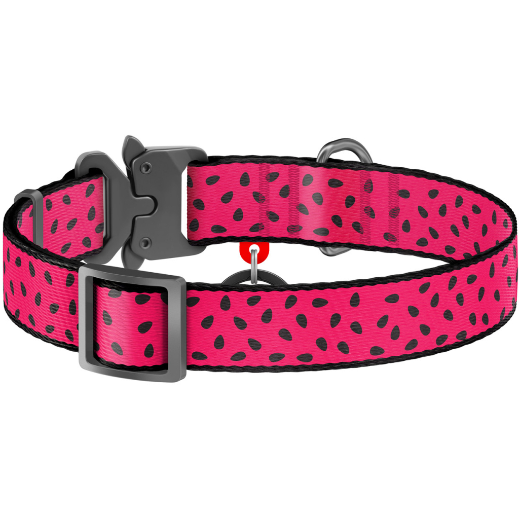 Нашийник для тварин WAUDOG Nylon "Кавун" металічна пряжка-фастекс L (5148)