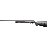 Гвинтівка страйкбольна ASG Steyr SSG 69 P2 Spring 6 мм (20124)