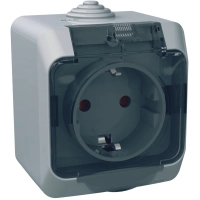 Schneider Electric CEDAR 2K+C socket with blinds and transparent cover IP44 (WDE000643)