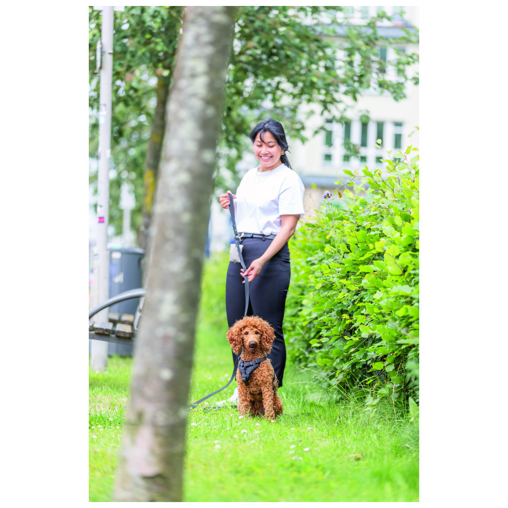 Шлея для собак Trixie CityStyle H-harness Бавовна XS–S 30–44 см 10 мм Чорна (4053032682580)