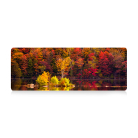 Килимок для мишки Voltronic Autumn forest (AT372)