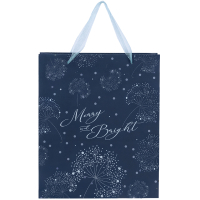 Подарунковий пакет Axent пластиковий Flower Symphony-4, 25х19 см (8503-44-A)