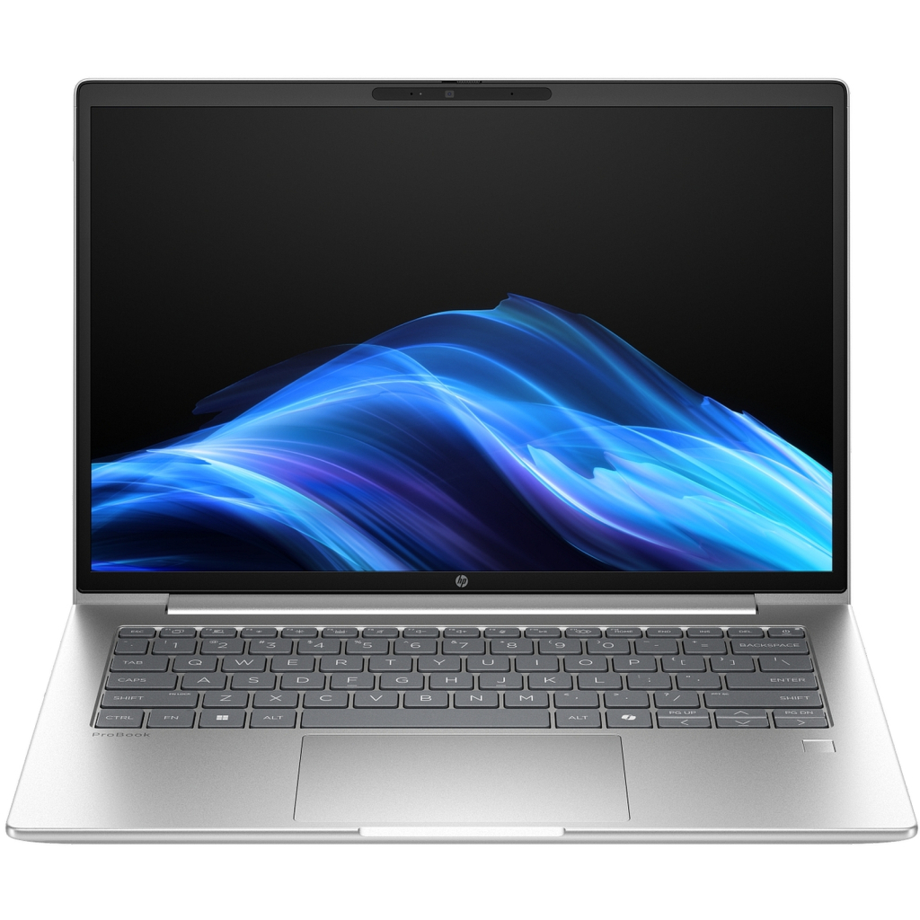 Ноутбук HP ProBook 4 G1iR (B5VS7AV_V3)