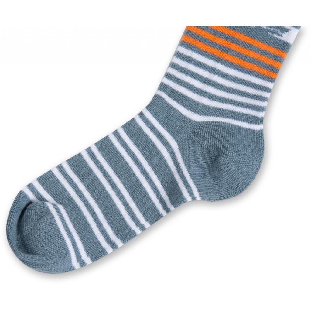 Колготки дитячі BNM для хлопчиків (M0C0301-0990-5-6/B-gray)