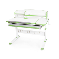 Desk Evo-kids Martin Green (Evo-430 WZ with a shelf)