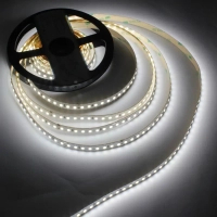 LED strip LED-STIL 6000K 12 W/m 2835 128 diodes IP33 24 Volt 1950 lm cold light (DFP2835-128B6-IP33-24V)