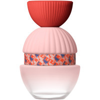 Eau de parfum El Ganso Fun & Chic 100 ml (8434853003420)