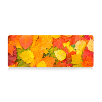 Килимок для мишки Voltronic Autumn leaves (FL372)