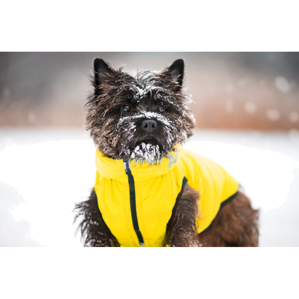 Курточка для тварин Collar AiryVest "Colors of freedom" M 45 (4446-4020)
