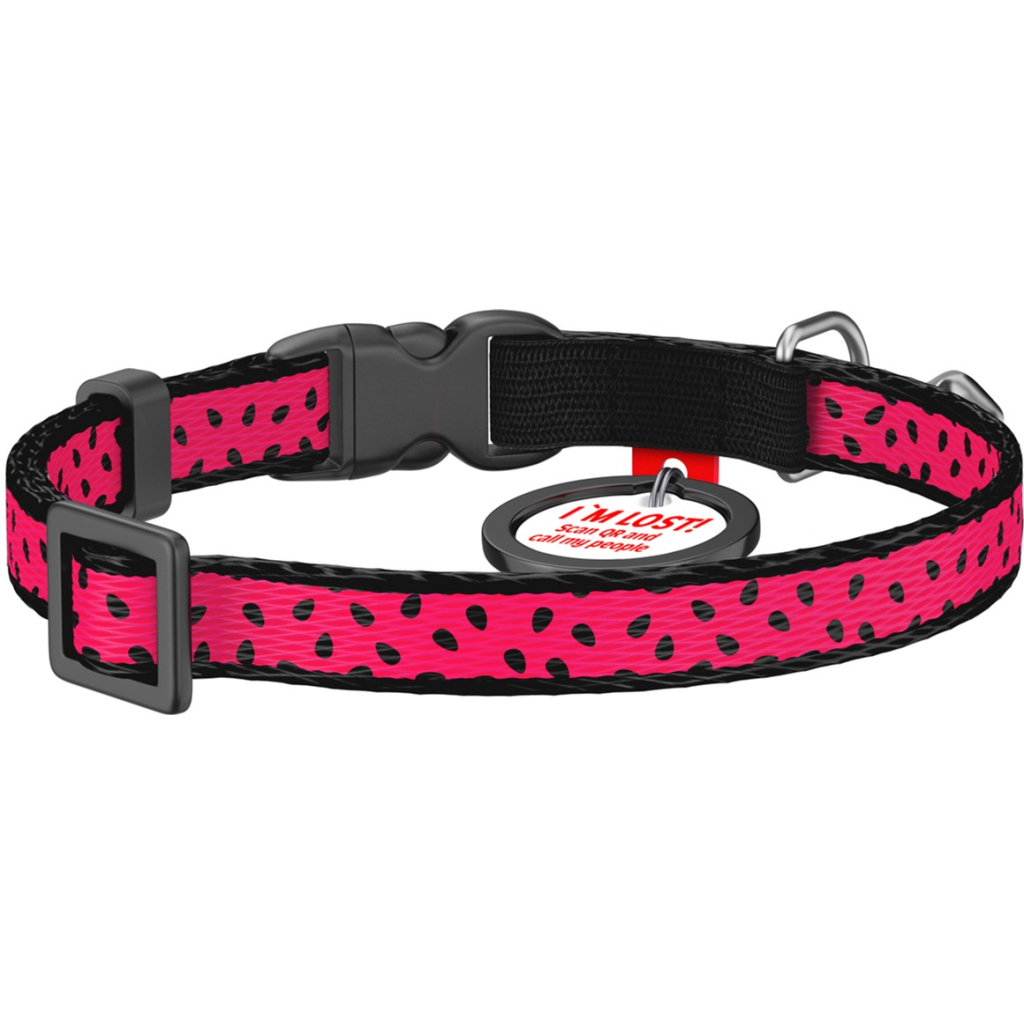 Нашийник для тварин WAUDOG Кавун з QR паспортом XS 20-30 см (5269)