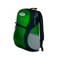 Tourist backpack Terra Incognita Mini 12 Green (4823081503927)