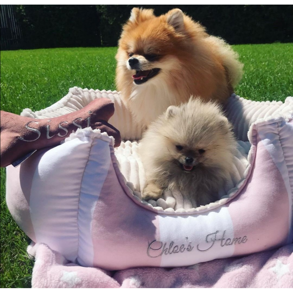 Лежак для тварин Chloe's Home Monte Carlo S рожевий (CLH0069) Лежак для тварин Chloe's Home Monte Carlo S рожевий (CLH0069)