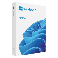 Операційна система Microsoft Windows 11 Home FPP 64-bit Eng Intl non-EU/EFTA USB (HAJ-00089)