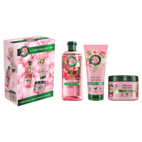 Набір косметики Herbal Essences Rose Petal Soft Шампунь 350 мл + Бальзам-ополіскувач 250 мл + Маска для волосся 300 мл (8700216614399)
