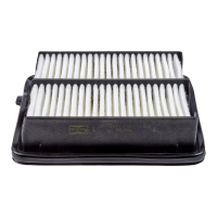 Champion CAF101051P car air filter