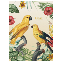 School notebook A4 Student line 40 sheets (A4-040-548L)