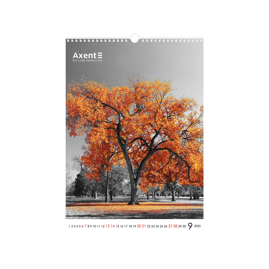 Календар Axent настінний А3 2025 рік One color art (8804-25-2-A)