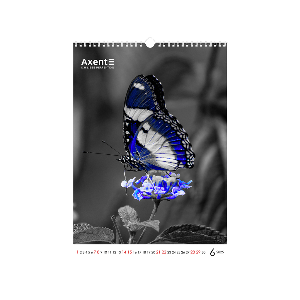 Календар Axent настінний А3 2025 рік One color art (8804-25-2-A)