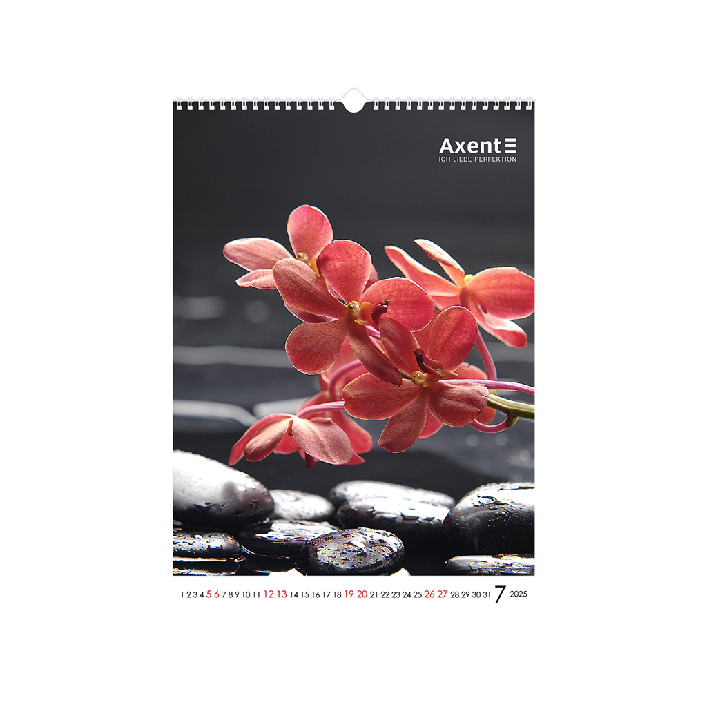 Календар Axent настінний А3 2025 рік One color art (8804-25-2-A)