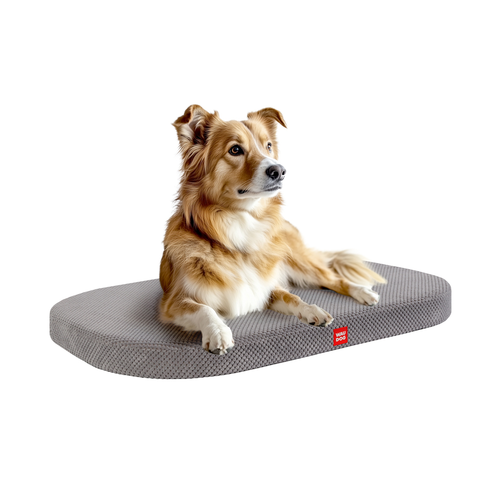 Лежак для тварин WAUDOG Relax Доріс велюр, зі знімним чохлом, 80х55 см сірий (131111) Лежак для тварин WAUDOG Relax Доріс велюр, зі знімним чохлом, 80х55 см сірий (131111)