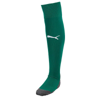Гетри Puma Team Liga Socks Core 703441-05 зелений 35-38 (4059504645794)