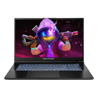 Ноутбук Dream Machines RG5070-17 (RG5070-17UA25)