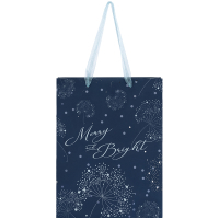 Gift bag Axent plastic Flower Symphony-4, 32x27 cm (8504-44-A)