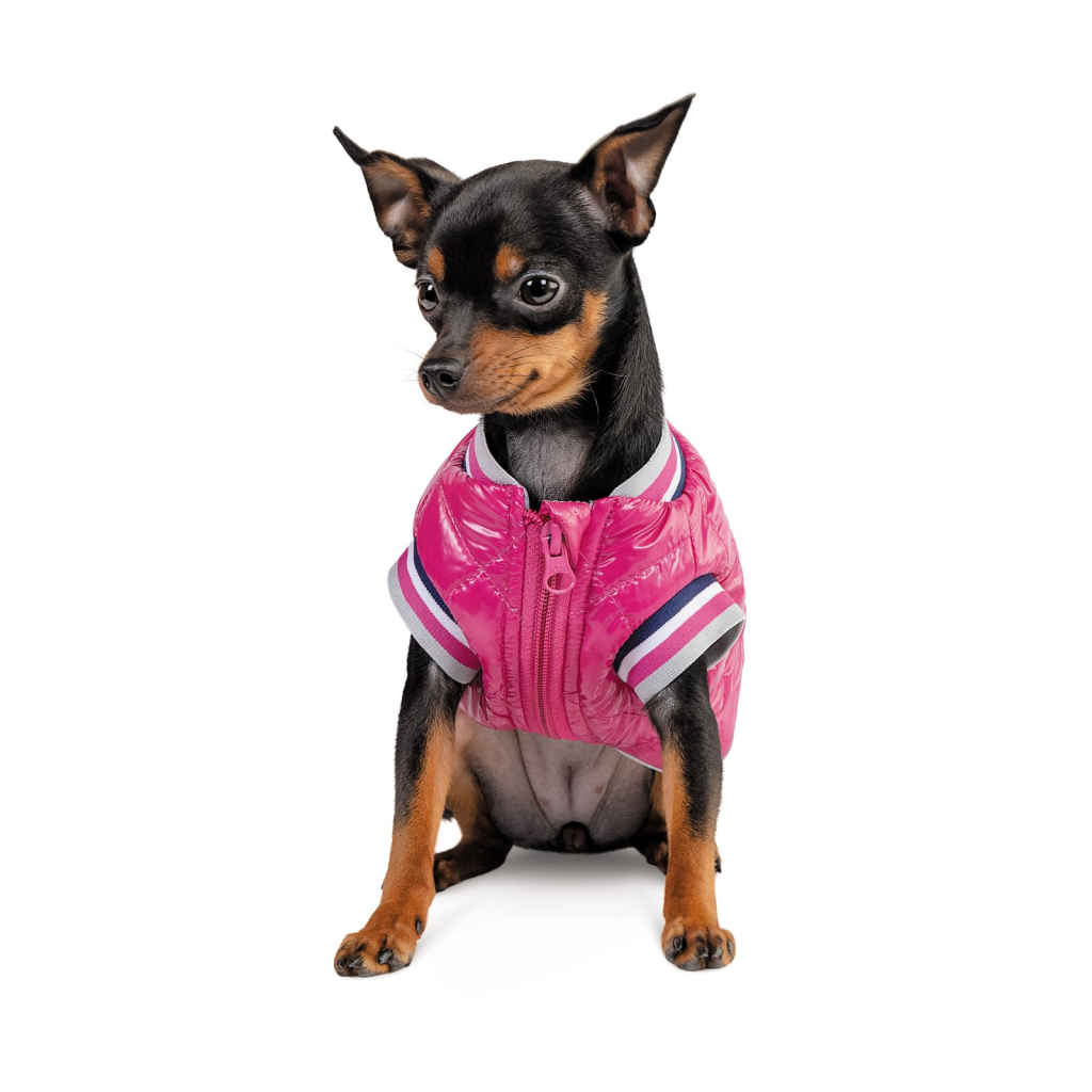 Бомбер для тварин Pet Fashion Grace XS (4823082430147)