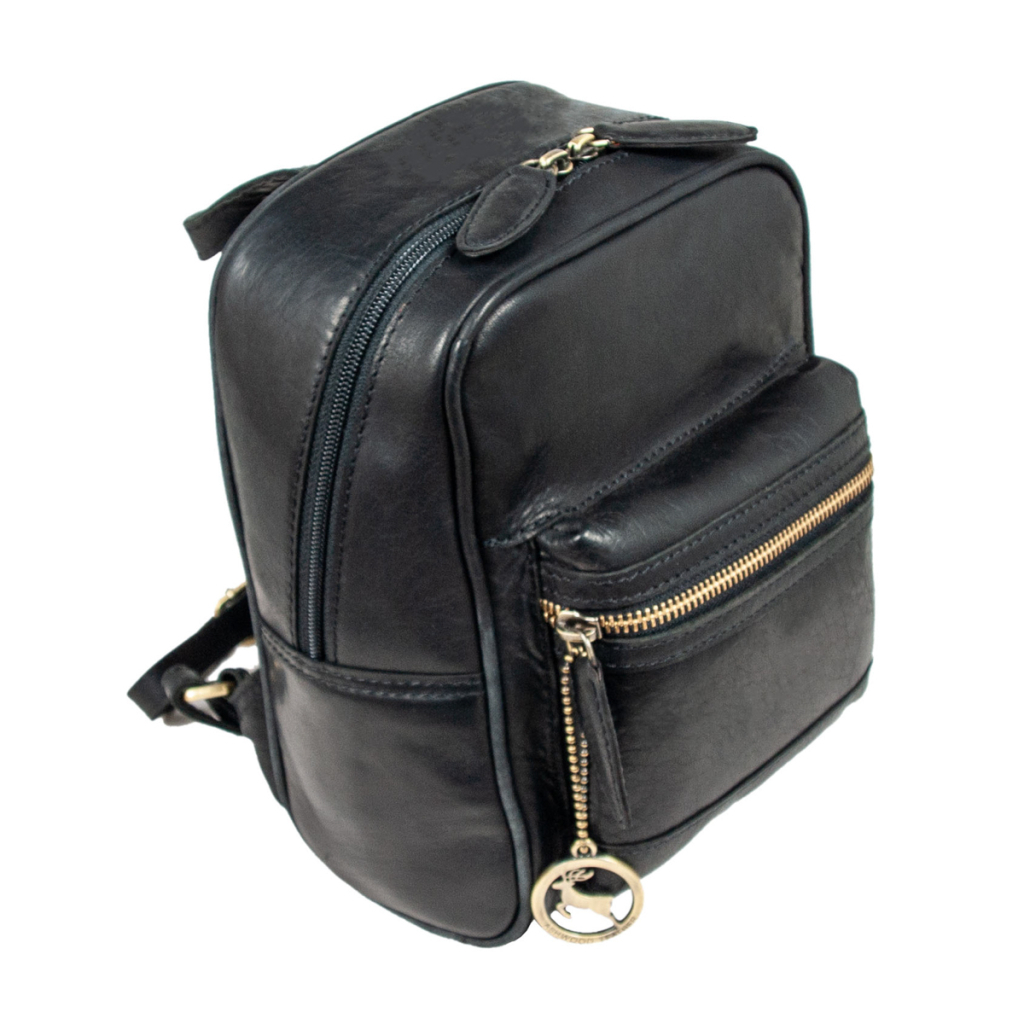 Рюкзак туристичний Ashwood T87 Black