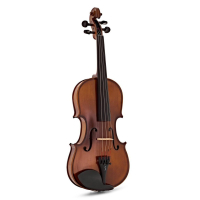 Violin Stentor Graduate Violin Outfit 1/2 (1542E)