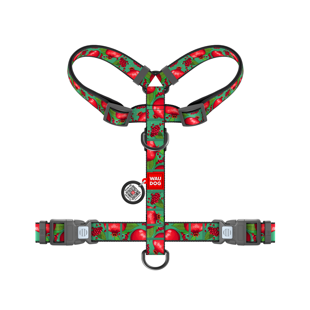 Шлея для собак WAUDOG Nylon анатомічна H-подібна з QR-паспортом "Гранати" пластиковий фастекс, XL (347-4052)