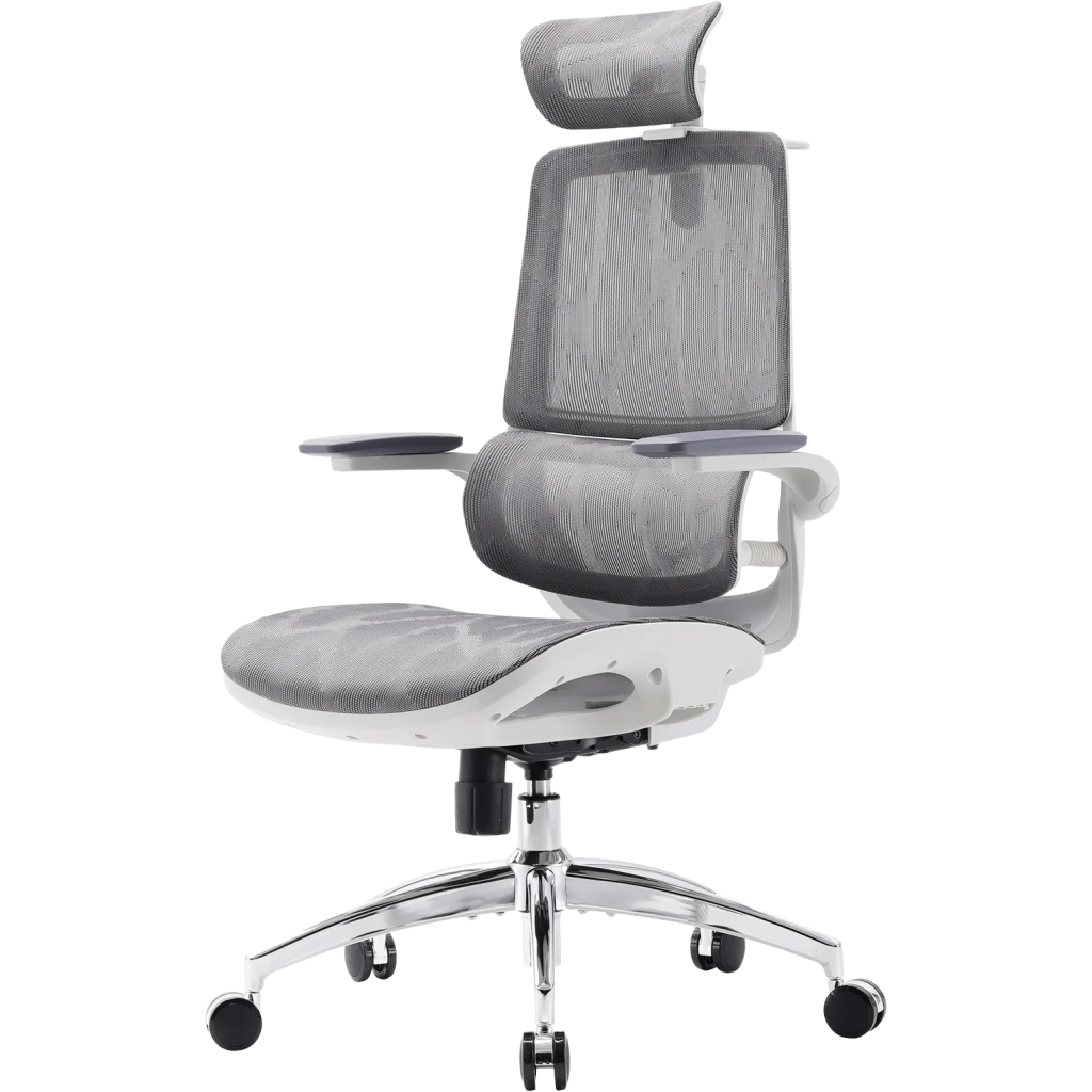 Офісне крісло Sihoo M59AS Mesh Gray (M59AS-M301)