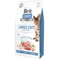 Dry food for cats Brit Care Cat GF Large cats Power and Vitality 7 kg (8595602540907)