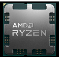 Процесор AMD Ryzen 9 7900X (100-100000589MPK)