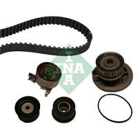 Timing belt kit with pump INA 530 0049 30