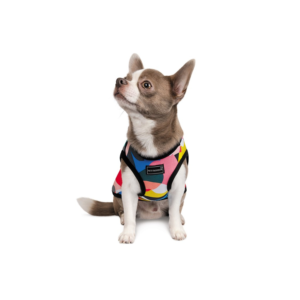 Борцівка для тварин Pet Fashion Cool XS різнобарвна (4823082420162)