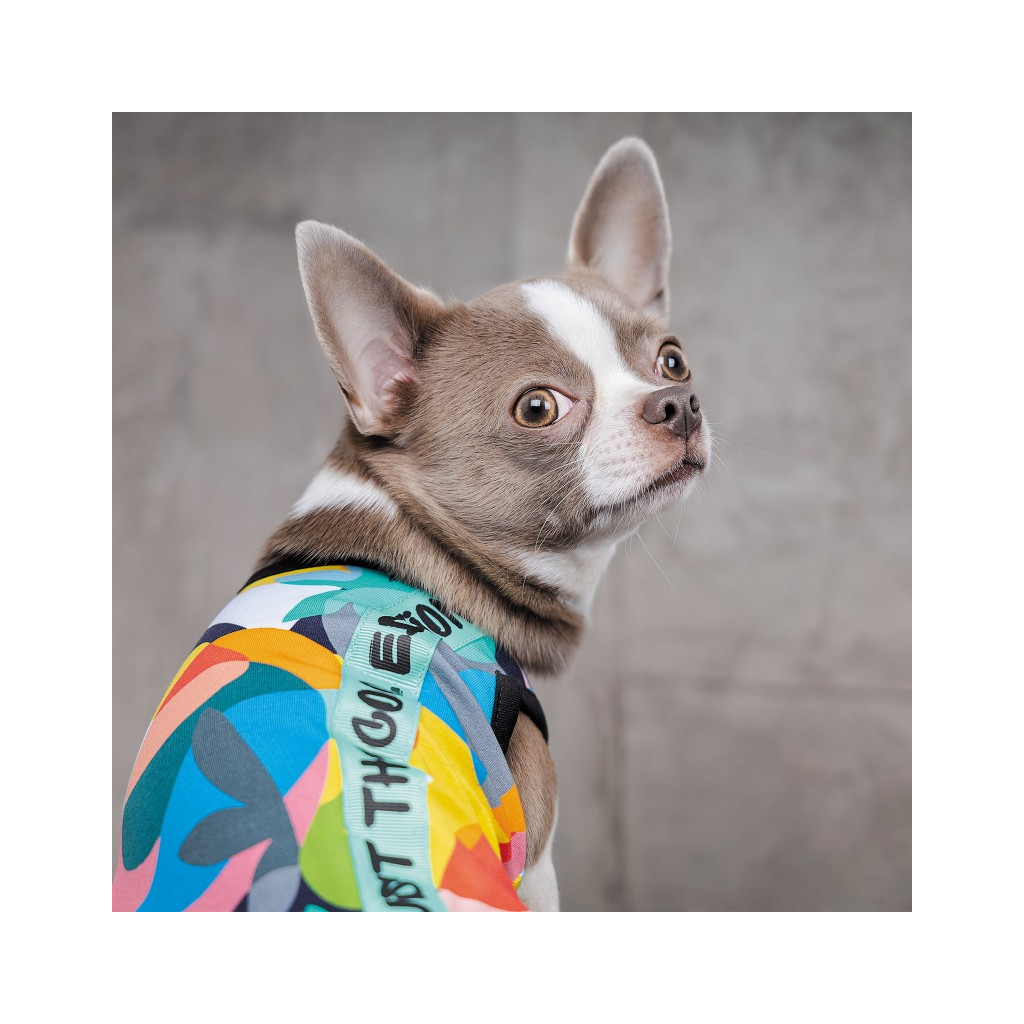 Борцівка для тварин Pet Fashion Cool XS різнобарвна (4823082420162)