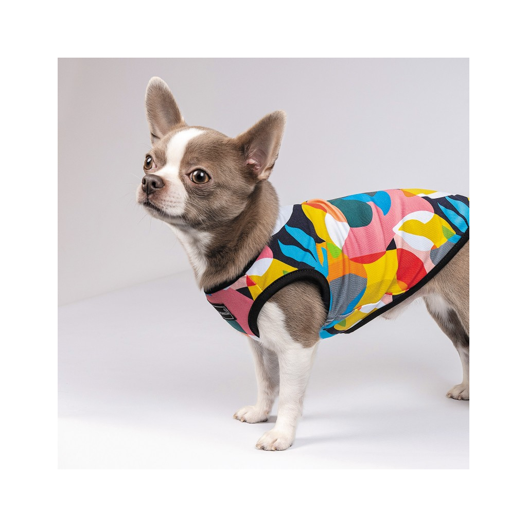 Борцівка для тварин Pet Fashion Cool XS різнобарвна (4823082420162)