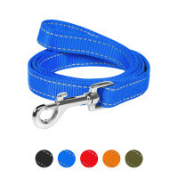 Dog Extreme nylon double leash W 20 mm L 122 cm blue (42982)