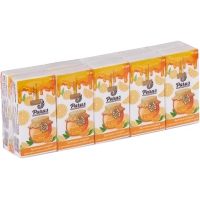 Cosmetic napkins Parus Apricot 2 layers 10 pcs. x 10 packs (4820044170189)