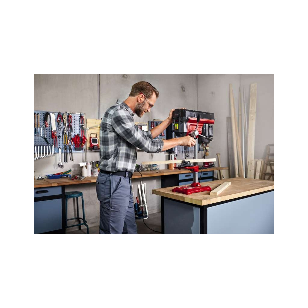 Свердлильний верстат Einhell TE-BD 550 E, 550Вт, 450-2500 об/хв, 21.2кг (4250690)