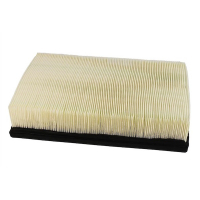 Champion CAF100582P car air filter